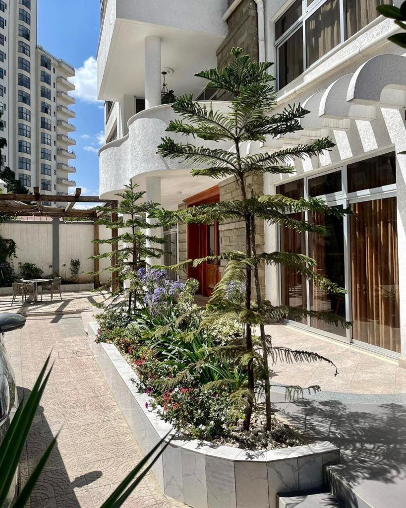 Bed and Breakfast Social House Addis Abeba Exteriér fotografie